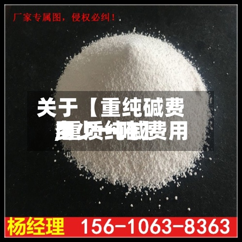 关于【重纯碱费用,重质纯碱费用多少一吨】