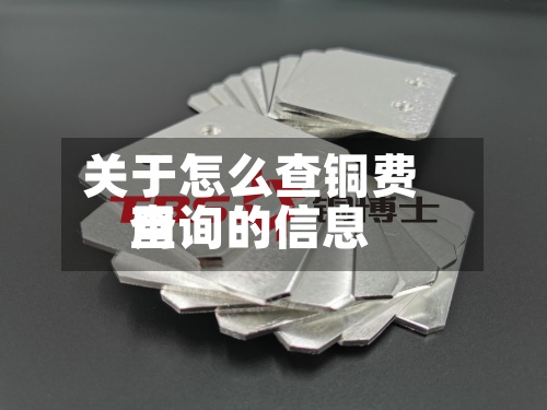 关于怎么查铜费用
查询的信息-第3张图片