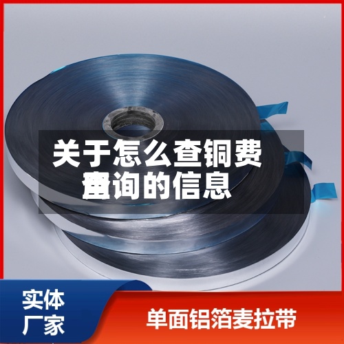 关于怎么查铜费用查询的信息
