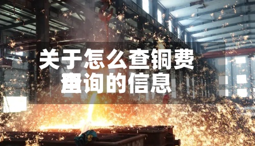 关于怎么查铜费用
查询的信息-第2张图片
