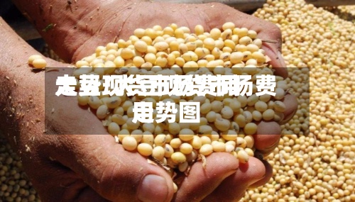 大豆现货市场费用
走势/大豆现货市场费用
走势图
