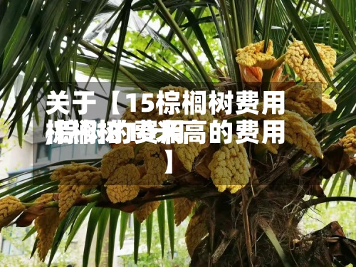 关于【15棕榈树费用
,棕树的费用
棕榈树10米高的费用
】-第3张图片
