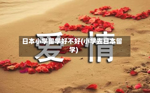 日本小学留学好不好(小学去日本留学)