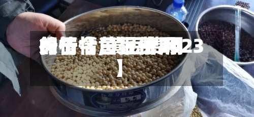 关于【黄豆费用的行情,黄豆费用行情今日报价2023】