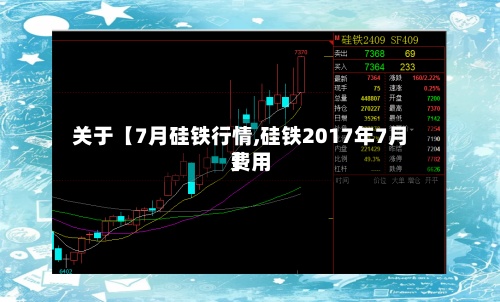 关于【7月硅铁行情,硅铁2017年7月费用】-第2张图片