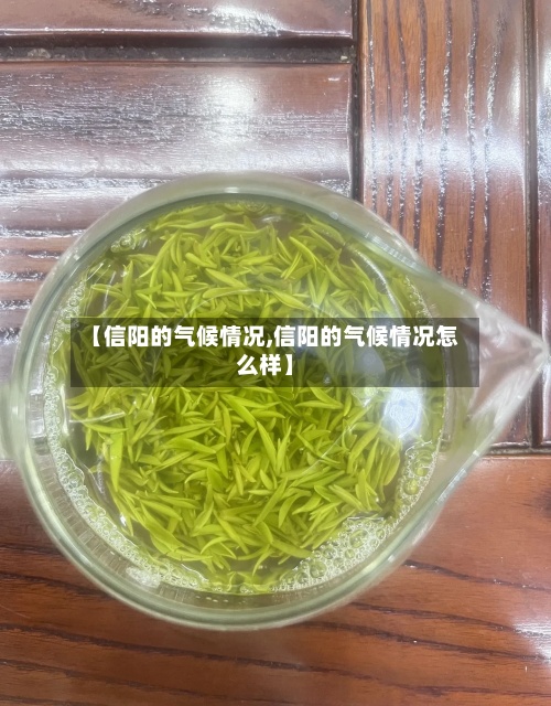 【信阳的气候情况,信阳的气候情况怎么样】-第2张图片