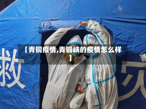 【青铜疫情,青铜峡的疫情怎么样】-第2张图片