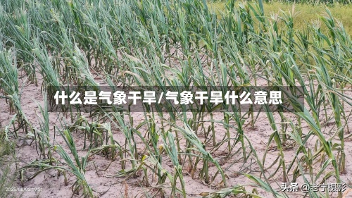 什么是气象干旱/气象干旱什么意思