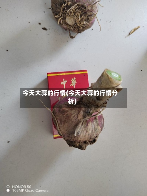 今天大蒜的行情(今天大蒜的行情分析)-第3张图片