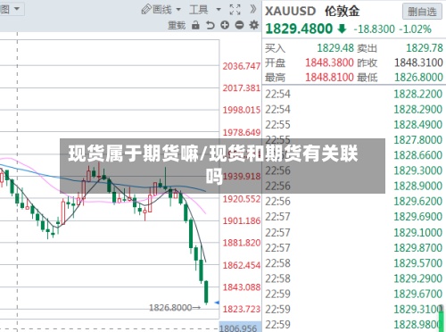 现货属于期货嘛/现货和期货有关联吗