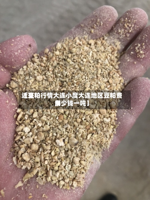 近来
【豆粕行情大连小度大连地区豆粕费用
多少钱一吨】