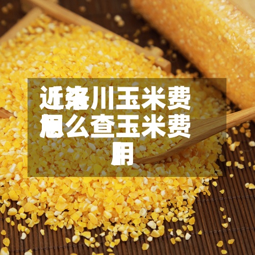 近来
【洛川玉米费用
怎么查玉米费用
】-第2张图片