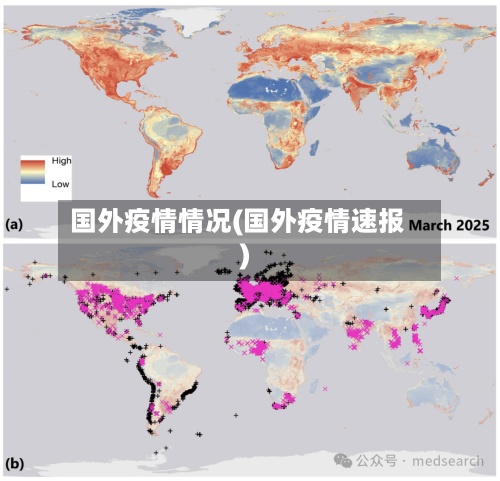 国外疫情情况(国外疫情速报)-第2张图片