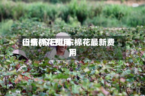 山东棉花费用
行情(今日山东棉花最新费用
)-第3张图片