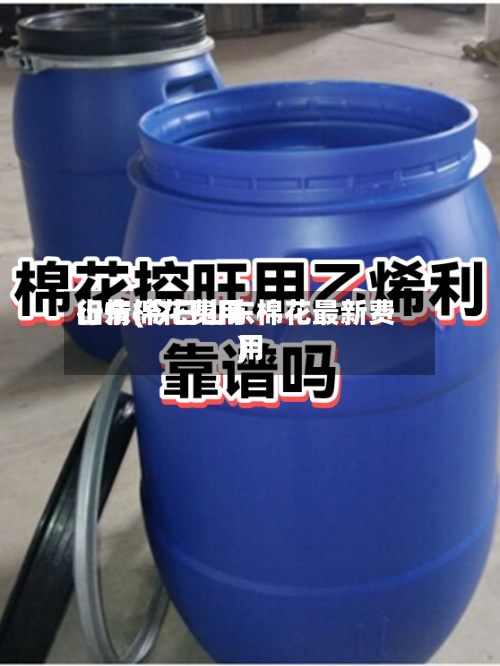 山东棉花费用
行情(今日山东棉花最新费用
)-第2张图片