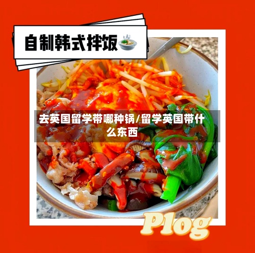 去英国留学带哪种锅/留学英国带什么东西-第3张图片