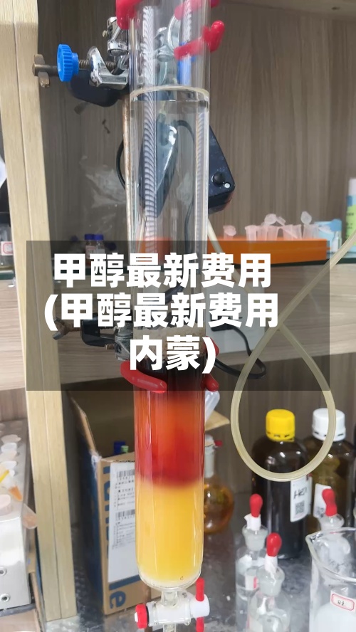 甲醇最新费用(甲醇最新费用内蒙)-第2张图片