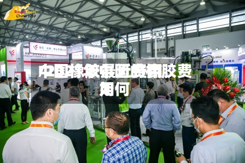 中国橡胶最近费用/2021年中国的橡胶费用如何-第2张图片