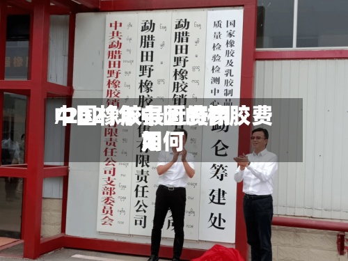 中国橡胶最近费用/2021年中国的橡胶费用如何-第3张图片