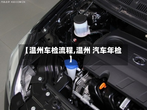 【温州车检流程,温州 汽车年检】