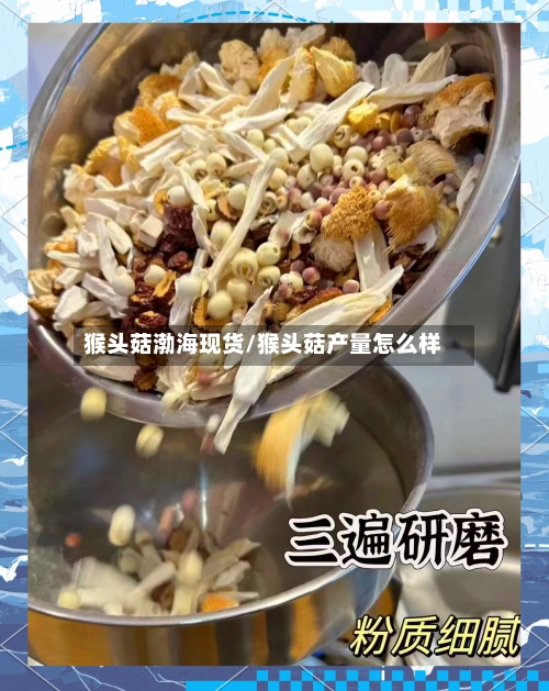 猴头菇渤海现货/猴头菇产量怎么样