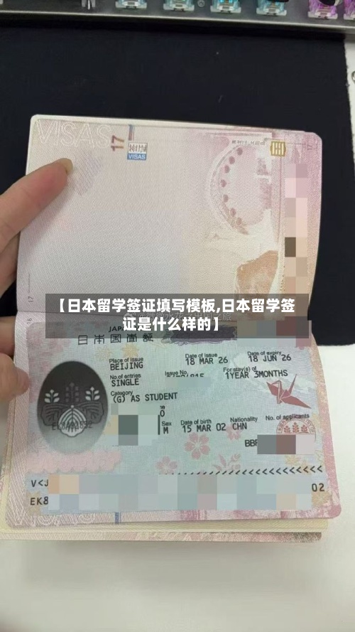 【日本留学签证填写模板,日本留学签证是什么样的】-第2张图片