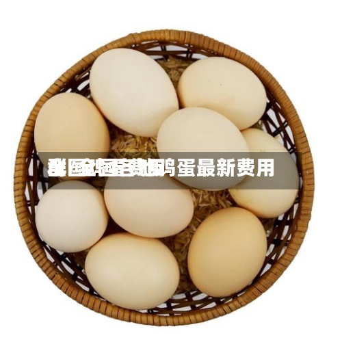 全国鸡蛋费用群/全国各地鸡蛋最新费用-第3张图片