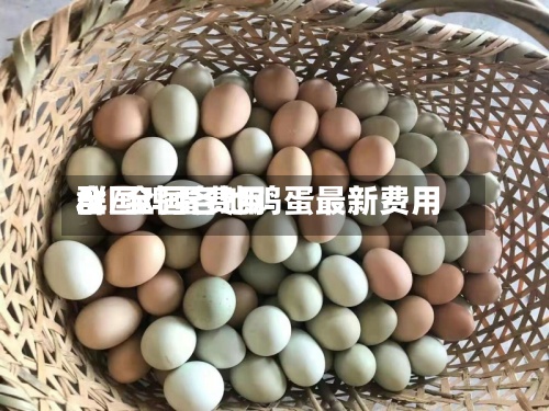 全国鸡蛋费用群/全国各地鸡蛋最新费用