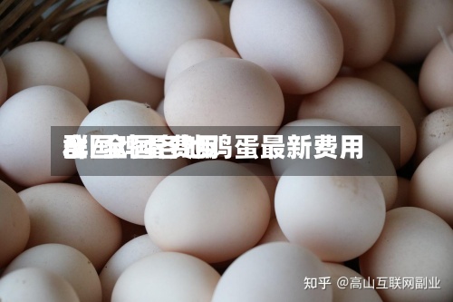 全国鸡蛋费用群/全国各地鸡蛋最新费用-第2张图片