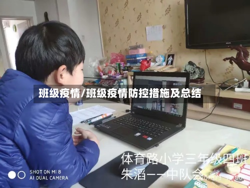 班级疫情/班级疫情防控措施及总结