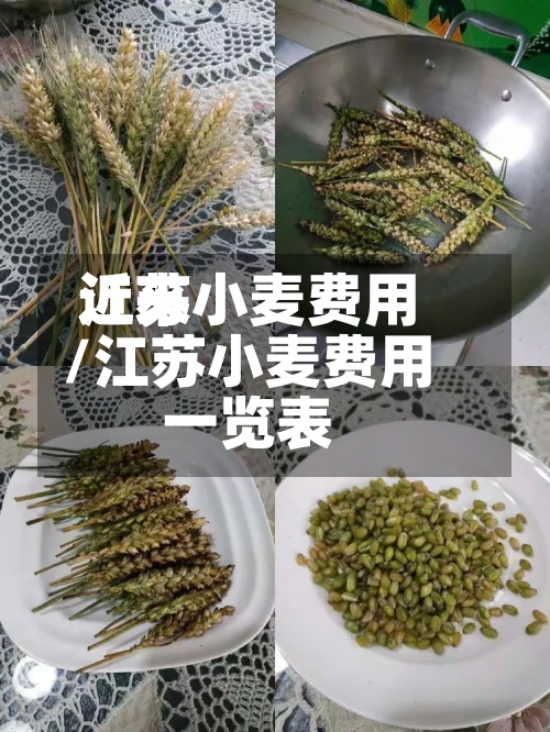 近来
江苏小麦费用
/江苏小麦费用
一览表