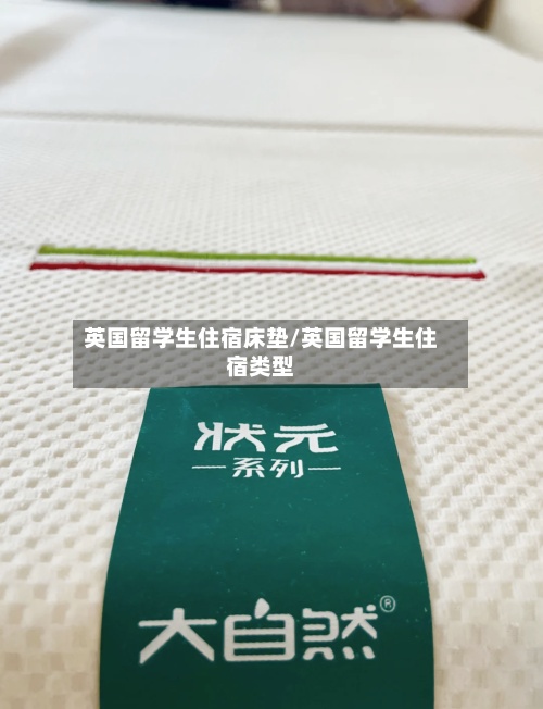 英国留学生住宿床垫/英国留学生住宿类型-第2张图片