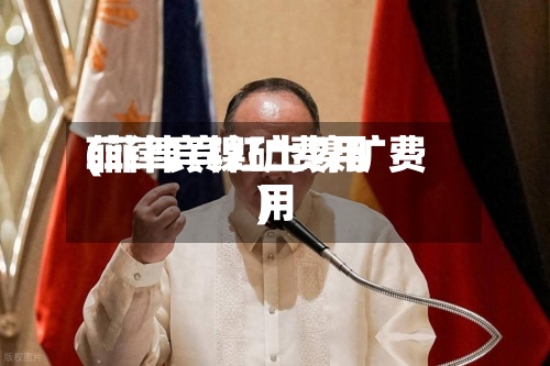 菲律宾镍矿费用
(菲律宾红土镍矿费用
)