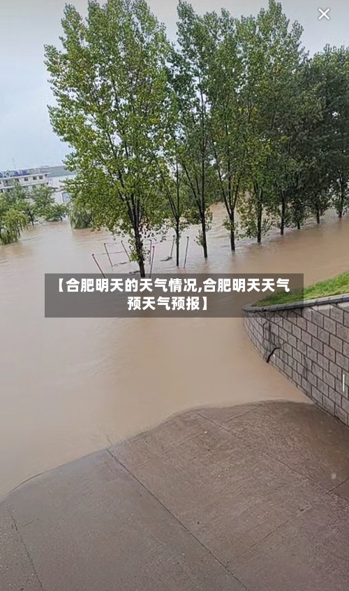 【合肥明天的天气情况,合肥明天天气预天气预报】