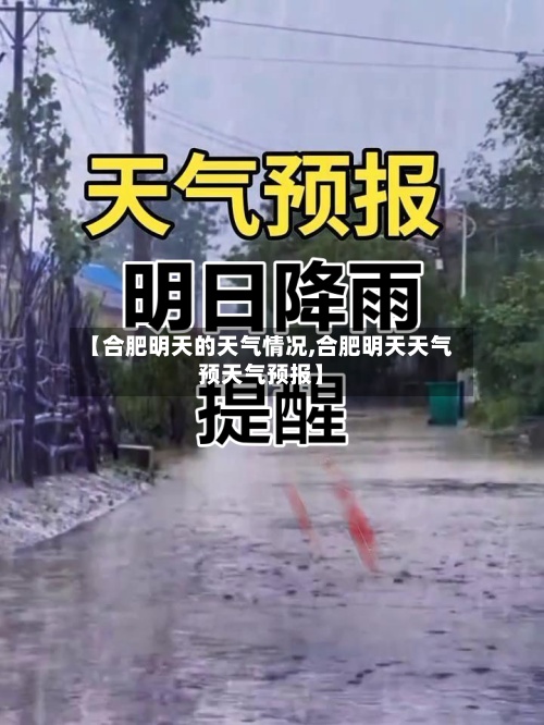 【合肥明天的天气情况,合肥明天天气预天气预报】-第3张图片
