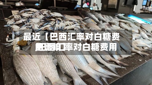 最近【巴西汇率对白糖费用
,巴西汇率对白糖费用
的影响】-第2张图片