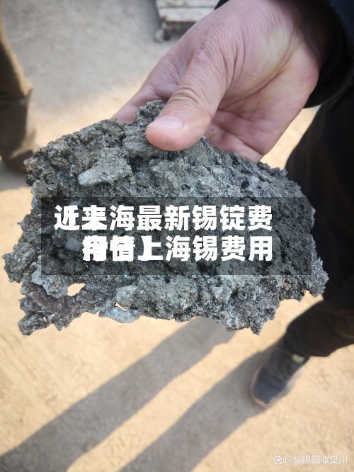 近来【上海最新锡锭费用今日上海锡费用行情】-第3张图片