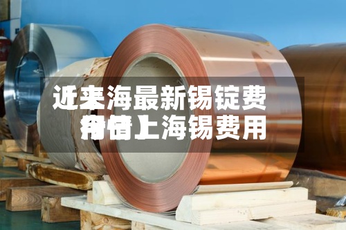 近来【上海最新锡锭费用今日上海锡费用行情】-第2张图片