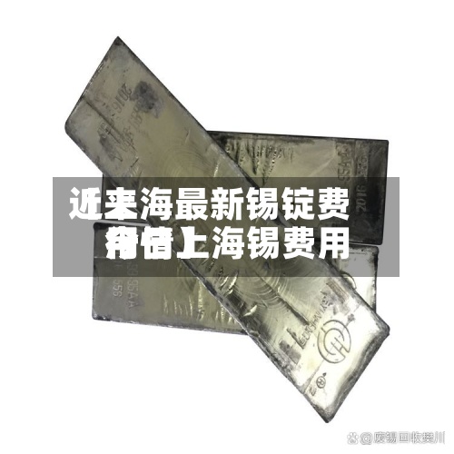 近来【上海最新锡锭费用今日上海锡费用行情】