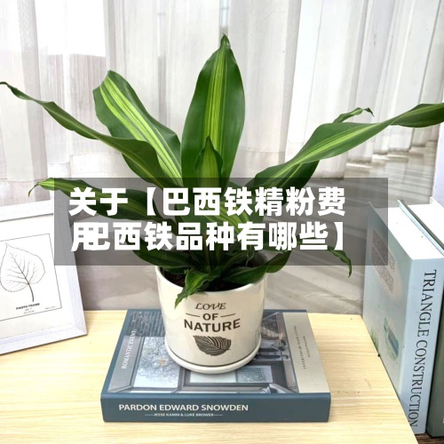 关于【巴西铁精粉费用
,巴西铁品种有哪些】-第2张图片