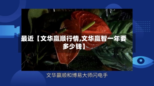 最近【文华赢顺行情,文华赢智一年要多少钱】