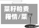菜籽粕费用
行情/菜籽粕2105东方财富