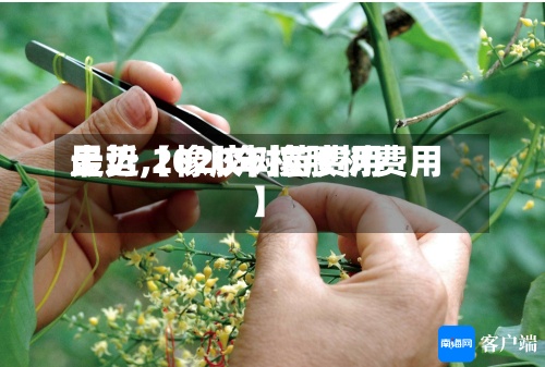最近【橡胶树苗费用
走势,2020年橡胶树费用
】-第2张图片