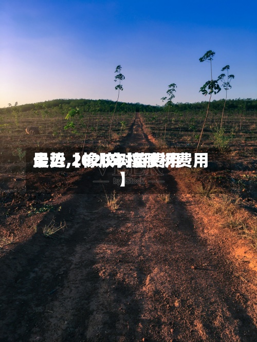 最近【橡胶树苗费用
走势,2020年橡胶树费用
】