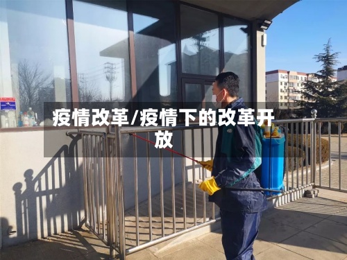 疫情改革/疫情下的改革开放