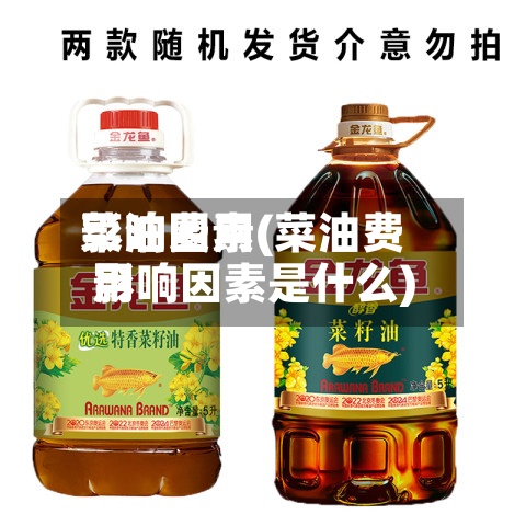 菜油费用影响因素(菜油费用影响因素是什么)