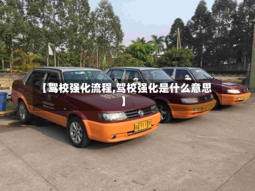 【驾校强化流程,驾校强化是什么意思】-第3张图片