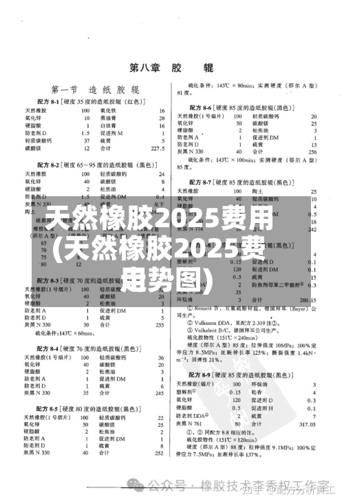 天然橡胶2025费用(天然橡胶2025费用走势图)