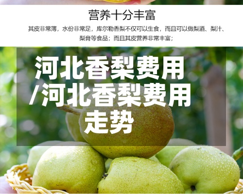 河北香梨费用
/河北香梨费用
走势-第2张图片