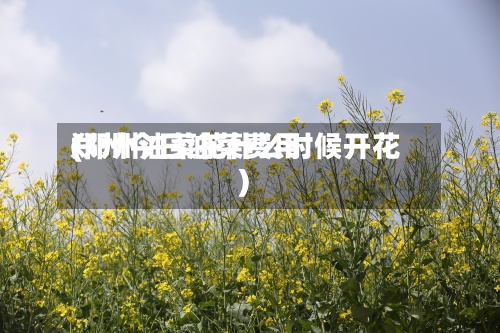 郑州今日油菜费用
(郑州油菜花什么时候开花)